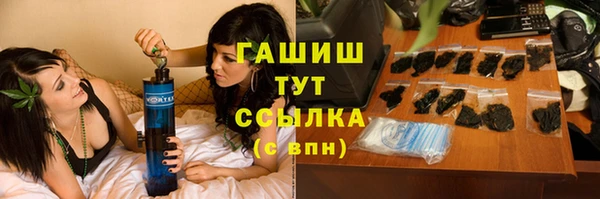 хмурый Алзамай