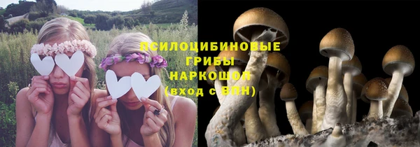 каннабис Алексеевка