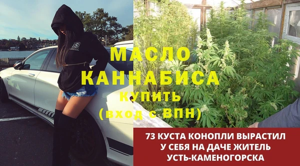 хмурый Алзамай
