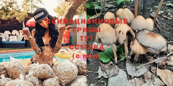 дмт Алексин