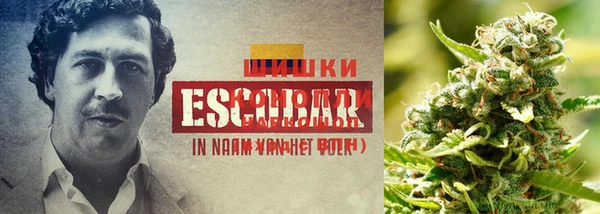 каннабис Алексеевка