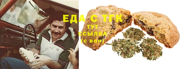 дмт Алексин