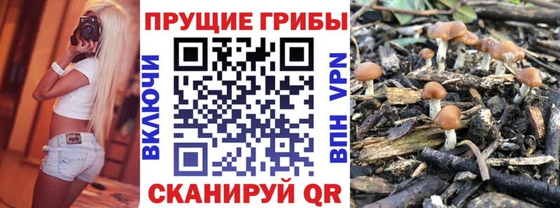 Галлюциногенные грибы MAGIC MUSHROOMS где купить наркотик ссылка на мегу онион Анива
